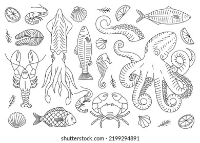 Conjunto de boceto de bosquejo de mariscos. Banner de la línea de animales marinos. Ilustración del menú de marisco. Pescados, bogavante, calamar, pulpo, cangrejo, filete de pescado.