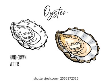 Seafood, oyster. Line drawing engraving vector, hand drawn food.