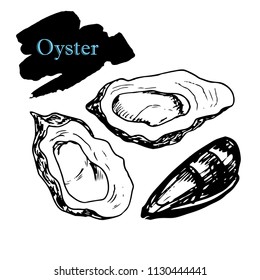 Seafood, oysters, hand drawn vector, seashells
