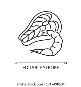 Seafood pixel perfect linear icon. Tuna raw steak. Fresh shrimp. Mediterranean cuisine. Thin line customizable illustration. Contour symbol. Vector isolated outline drawing. Editable stroke