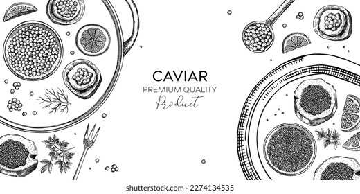 Seafood platter in engraved style. Red caviar canape, black caviar tin can, lemons sketches. Sea delicacy background for restaurant menu or finger food party. Hand-drawn canned fish banner design