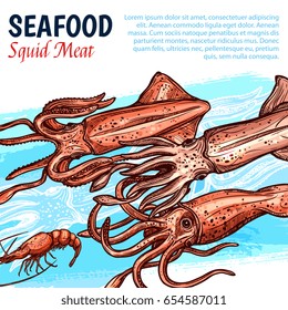 Seafood poster with squid meat for fishery market or fresh sea food shop and restaurant. Vector design template of fishing catch squids or shrimps and lobster, octopus or crab and cuttlefish