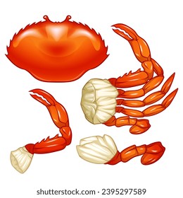 Meeresfrüchte Raw-Krabbe einzeln auf weißem Hintergrund. Handgezeichnete Krebskizze. Vektorgrafik. Frische biologische Meeresfrüchte.