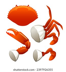 Seafood Raw crab isolated on white background. Hand drawn sketch of crab. Vector illustration. Fresh organic seafood.