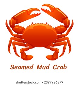 Seafood Raw crab isolated on white background. Hand drawn sketch of crab. Vector illustration. Fresh organic seafood.