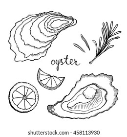 Seafood recipe ingredients with oyster. Hand-drawn sketchy style vector illustration.