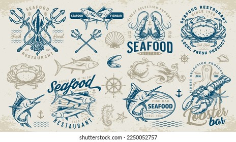 Seafood restaurant labels set colorful with squid and shrimp or marlin fish for coastal bar with delicacies vector illustration