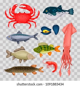 Seafood set with crab, fish, mussel and shrimp isolated on transparent background. Design for restaurant menu, market. Marine creatures in flat style - vector illustration