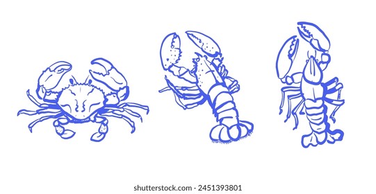 Seafood set with crab and lobster in blue outlines isolated on white background.Hand drawn vector illustration. Design for seafood menu, coastal decor. Marine life and cuisine concept.