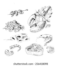 Seafood. Set of hand drawn graphic illustrations