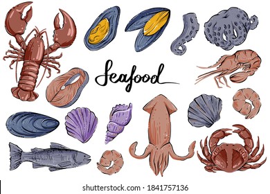 Seafood set, hand drawn vector, color