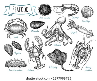 Seafood set. Ink sketch isolated on white background. Hand drawn vector illustration. Retro style.