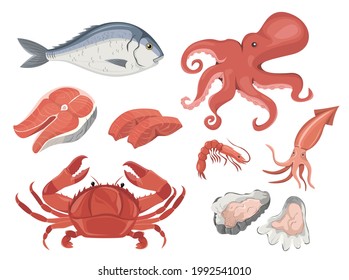 Seafood set, octopus, squid, salmon, salmon fillet, shrimp, crab, oyster, fish, dorado, healthy vitamin products and ingredients