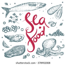 Seafood Set: red and black caviar, oyster, mussel, shrimp, salmon steak, fish, octopus, seasoning. Hand drawn Vector illustration. Realistic sketches.