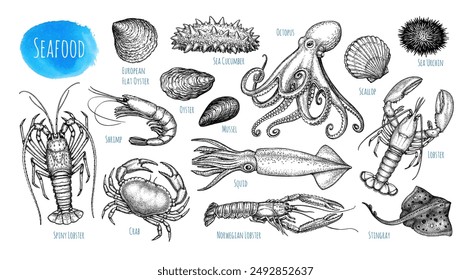 Seafood set. Sea creatures, crustaceans and mollusks. Ink sketch isolated on white background. Hand drawn vector illustration. Retro style.