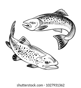 seafood set with trout hand drawn illustration. vector illustratin can be used for creating logo, emblem, prints, menu, web and other crafts