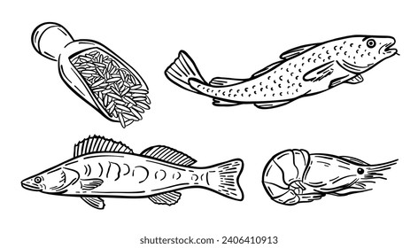 Seafood set. Vector illustration in doodle style