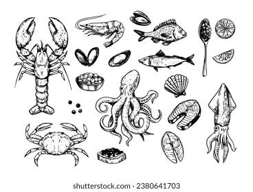 Seafood. set of vector sketch illustrations, crab, lobster, shrimp, fish
Black outline on transparent backround