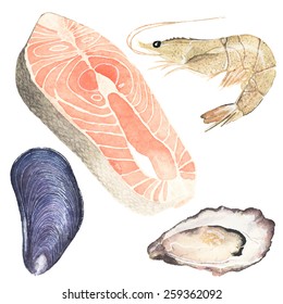 Seafood. Set of watercolor oyster, mussel, salmon steak and sea prawn on the white background, aquarelle. Vector illustration. Hand-drawn original elements