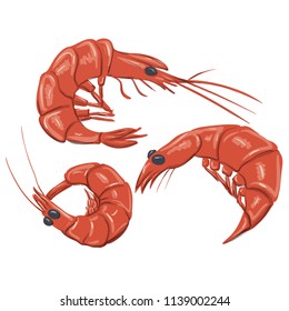Seafood shrimp dinner menu items flat icons large set vector illustration