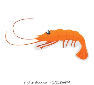 Seafood shrimp, ocean delicacy food isolated on white cartoon vector illustration. Prawn for grill, asian meal concept.