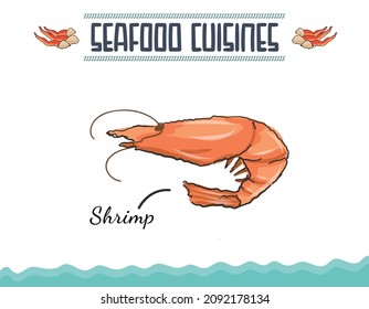 Seafood Shrimp Vector Illustration. Hand Drawn Sketch of Shrimp for Graphic Design projects.