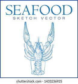 Сrayfish Seafood Sketch Vector illustration isolated on white background.