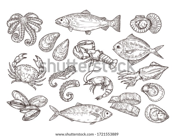 Seafood sketch. Vintage fish, drawing food. Delicious\
shrimp, shell squid. Sea cuisine, grilled crab calamari. Fresh raw\
market vector set