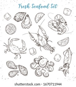 Seafood sketches isolated on white background. Fresh octopus and squid, shrimp, mussels and oysters, crayfish and crab. Hand drawn sea food collection. Vector illustration for restaurant menu designs