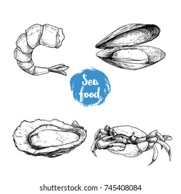 Seafood sketches set. Cooked grilled shrimp, opened mussel and oyster, crab. Sea market products collection. Vector illustration isolated on white background.