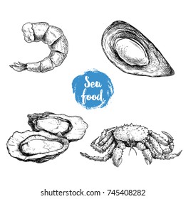 Seafood sketches set. Cooked grilled shrimp, opened mussel,  oysters group and king crab. Sea market products collection. Vector illustration isolated on white background.