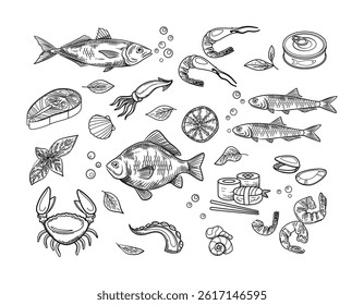 Seafood sketches set. Crab, squid and rolls, shrimps. Octopus and lobster. Restaurant or cafe menu. Hand drawn sketching. Linear vector collection isolated on white background