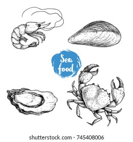 Seafood sketches set. Fresh shrimp, mussel, oyster and crab. Sea market products collection. Vector illustration isolated on white background.