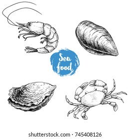 Seafood sketches set. Fresh shrimp, closed mussel and oyster, crab. Sea market products collection. Vector illustration isolated on white background.