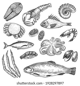 Seafood sketches set. Hand drawn octopus, lobster, prawn, salmon, oyster, tuna. Engraved vector illustration for Japanese cuisine ingredients, fresh ocean food concept