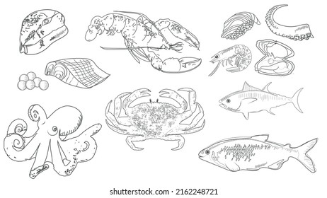 Seafood sketches set. Hand drawn octopus, lobster, prawn, salmon, oyster, tuna. Engraved vector illustration for Japanese cuisine ingredients, fresh ocean food concept.