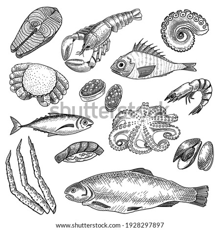 Seafood sketches set. Hand drawn octopus, lobster, prawn, salmon, oyster, tuna. Engraved vector illustration for Japanese cuisine ingredients, fresh ocean food concept