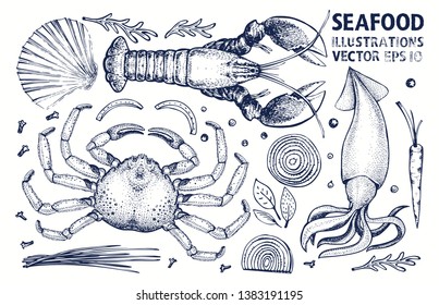 Seafood and spices vector set. Retro hand drawn illustrations. Can be use for restaurants menu, cover, packaging. Vintage background.
