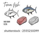 Seafood, tuna fish. Line drawing engraving vector, Hand drawn food. 