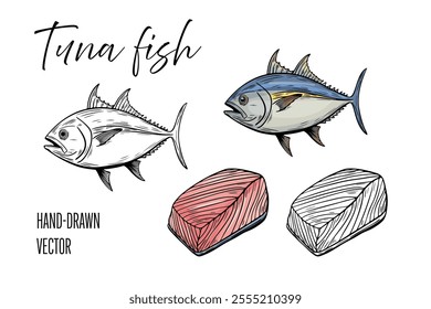 Seafood, tuna fish. Line drawing engraving vector, Hand drawn food. 