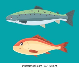 seafood vector black and white vintage illustration of salmon fish. Isolated object.