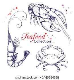 Seafood vector collection. hand drawn engraved seafood element in vintage style with ink splatter isolated on white. realistic outline sketched prawn or shrimp, lobster or crayfish and blue crab set