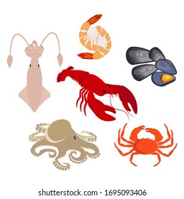 Seafood vector illustration on the white background. Vector illustration
