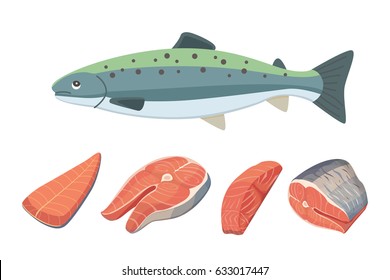 Seafood Vector Illustration Of Salmon Fish.