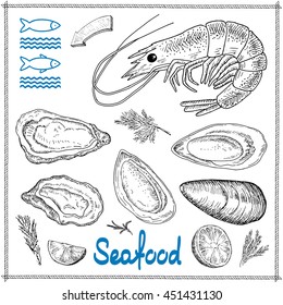 Seafood vector illustrations. Fresh  oyster, mussel. Vintage design with hand drawn sketch. Line art style