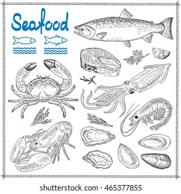Seafood vector illustrations. Fresh sea fish, lobster, crab, oyster, mussel, squid. Vintage design with hand drawn sketch. Line art style