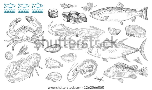 魚介類のベクターイラスト 新鮮な海魚 ロブスター カニ カキ ムーセル イカ すし巻き 手描きのスケッチを使用したビンテージデザイン 線画のスタイル のベクター画像素材 ロイヤリティ フリー