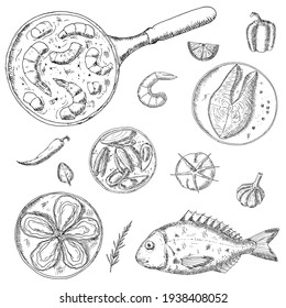 Seafood. Vector illustrations. Isolated objects on a white background. Hand-drawn style.Top view. Mediterranean cuisine.