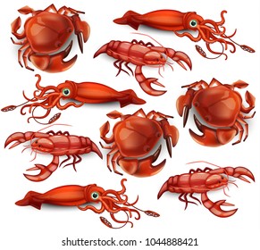 Seafood Vector set collecion crabs, cancer and squids