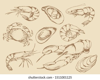 Seafood vector set, food vector collection in sketch style isolated on beige background: lobster, crab, shrimps, oysters, mussels